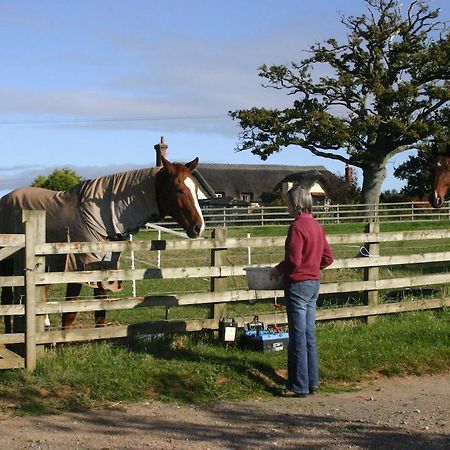 Bed and Breakfast Strete Ralegh Farm Whimple Exterior foto