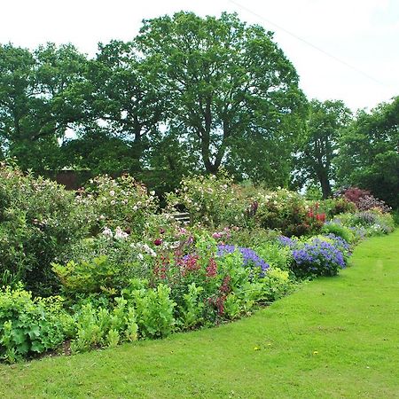 Bed and Breakfast Strete Ralegh Farm Whimple Exterior foto