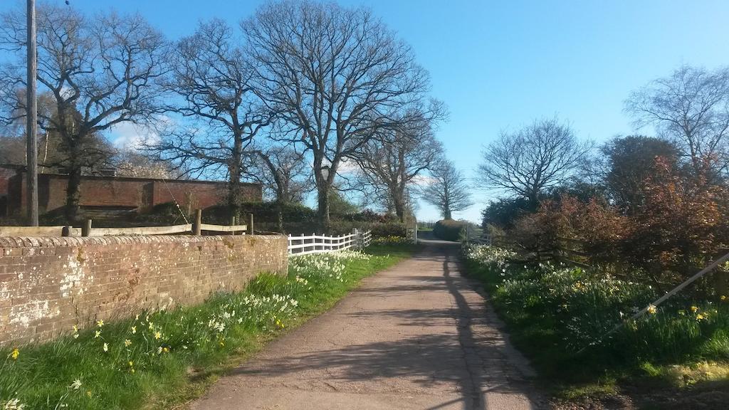 Bed and Breakfast Strete Ralegh Farm Whimple Exterior foto