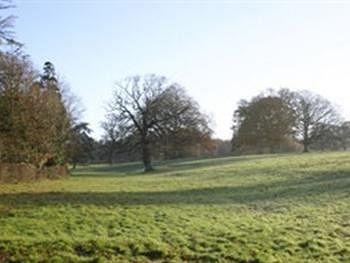 Bed and Breakfast Strete Ralegh Farm Whimple Exterior foto