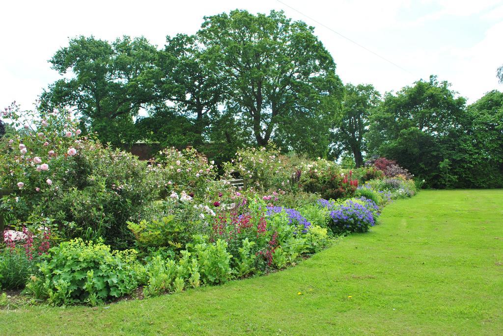 Bed and Breakfast Strete Ralegh Farm Whimple Exterior foto