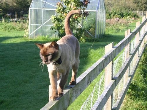 Bed and Breakfast Strete Ralegh Farm Whimple Exterior foto